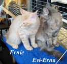 Geschwister Evi-Erna + Ernie