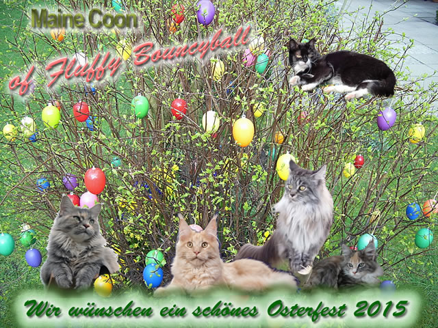 Frohe Ostern 2015