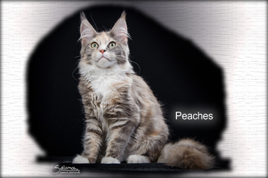 Peaches