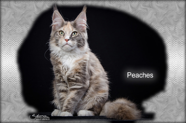 Peaches