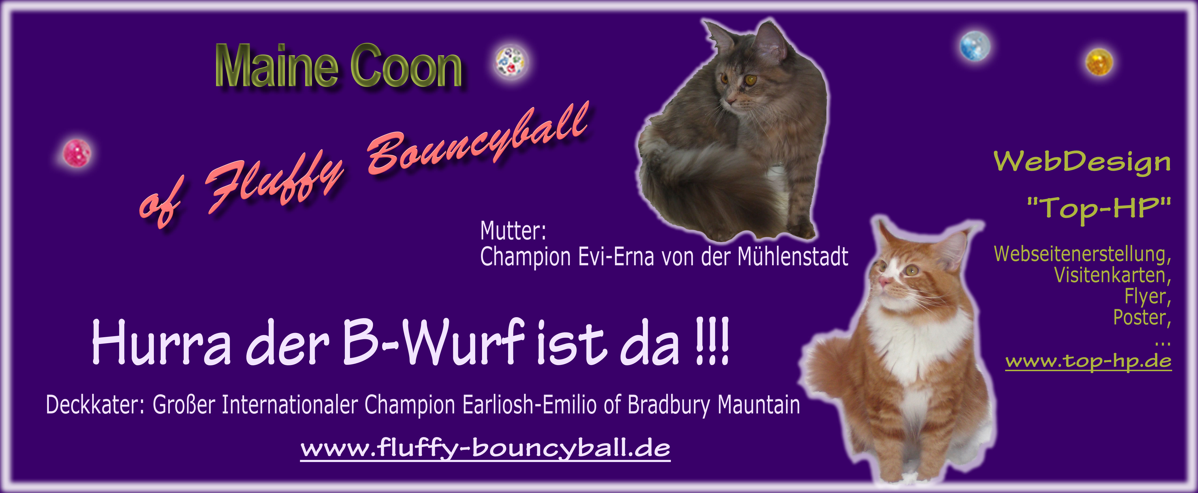 Hurra der B-Wurf ist da