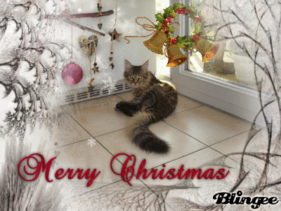 C&eacute;line w&uuml;nscht frohe Weihnachten