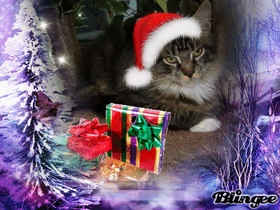Cleopatra w&uuml;nscht frohe Weihnachten