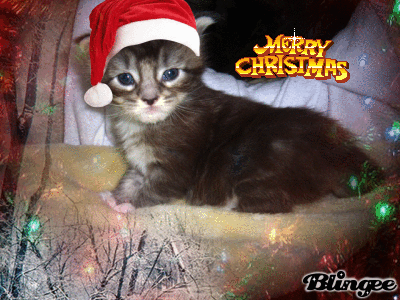 Django w&uuml;nscht frohe Weihnachten