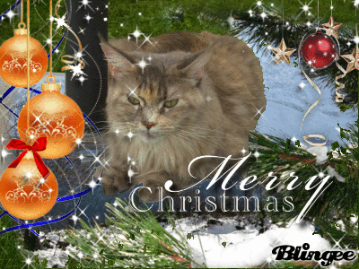 Evi-Erna w&uuml;nscht frohe Weihnachten