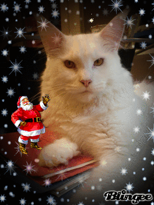 Jesper w&uuml;nscht Frohe Weihnachten