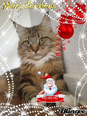 Pedro w&uuml;nscht Frohe Weihnachten