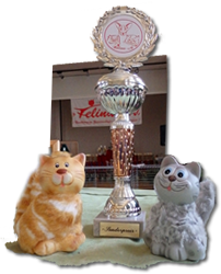 Teddy-Tiger's Pokal