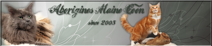 Aborigines Maine Coon