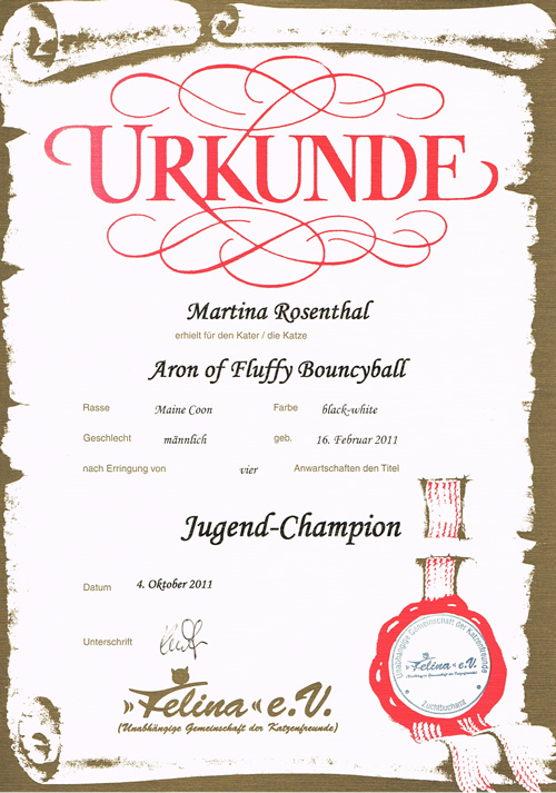 Aron ist Jugend-Champion