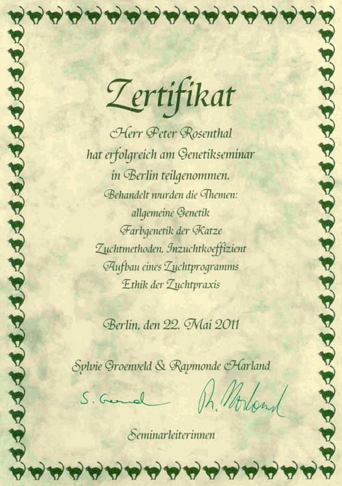 Zertifikat