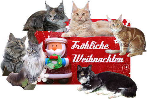 Frohe Weihnachten 2015