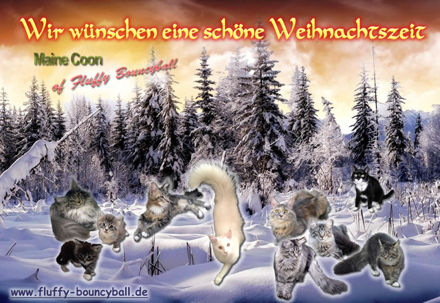 Frohe Weihnachten w&uuml;nscht die Zuchtgemeinschaft "of Fluffy Bouncyball"