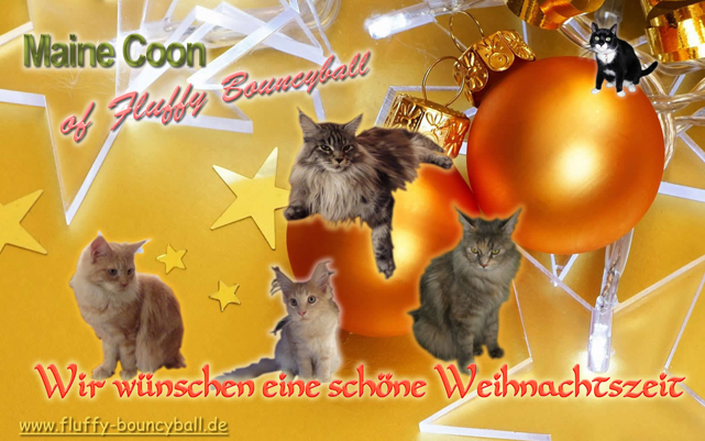 Frohe Weihnachten wünscht die Zuchtgemeinschaft "of Fluffy Bouncyball"